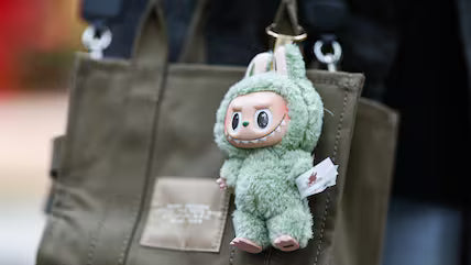🎉 Beginner’s Guide to Starting Your Labubu Collection in 2025